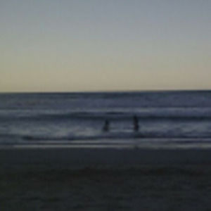 Meet your Posher, Sylvia